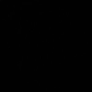 Meet your Posher, Marisol